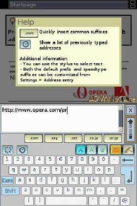 Nintendo DS Browser (Japan) screen shot game playing